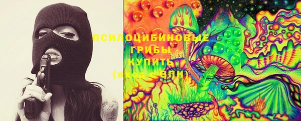 шишки Волоколамск